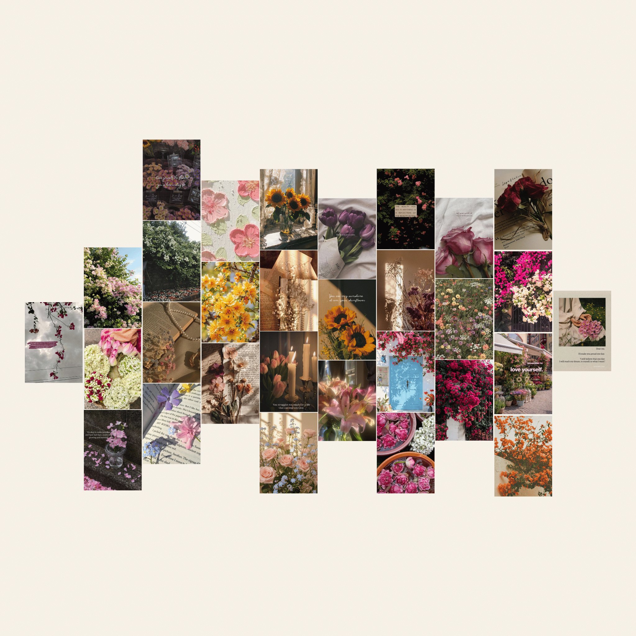 Bloom – Premium Posters ( A5 | 260G )